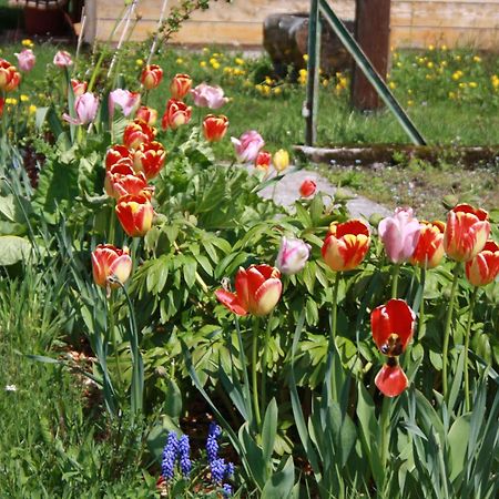 Buerschtehanse-Hof Ibach ภายนอก รูปภาพ