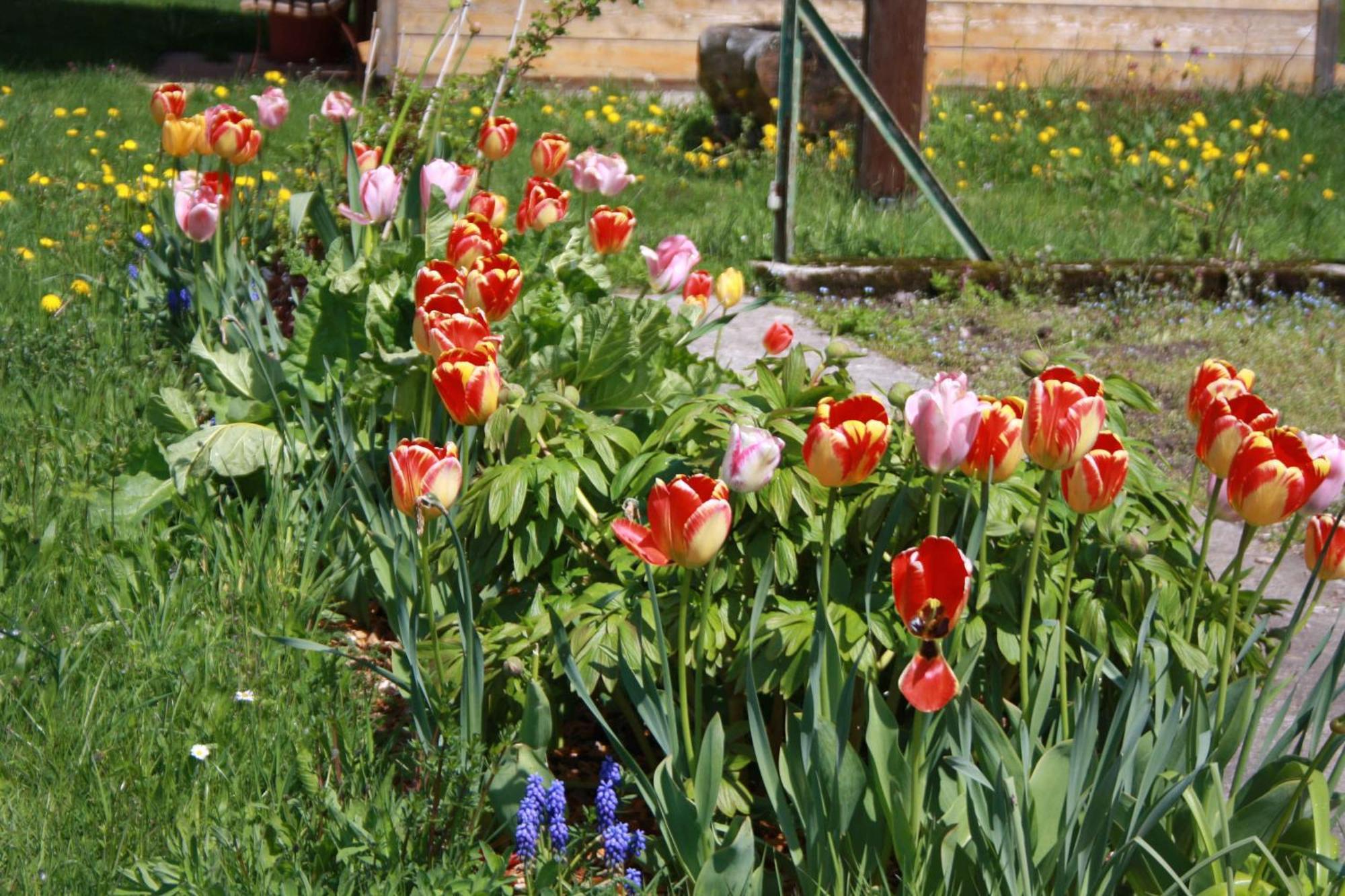 Buerschtehanse-Hof Ibach ภายนอก รูปภาพ