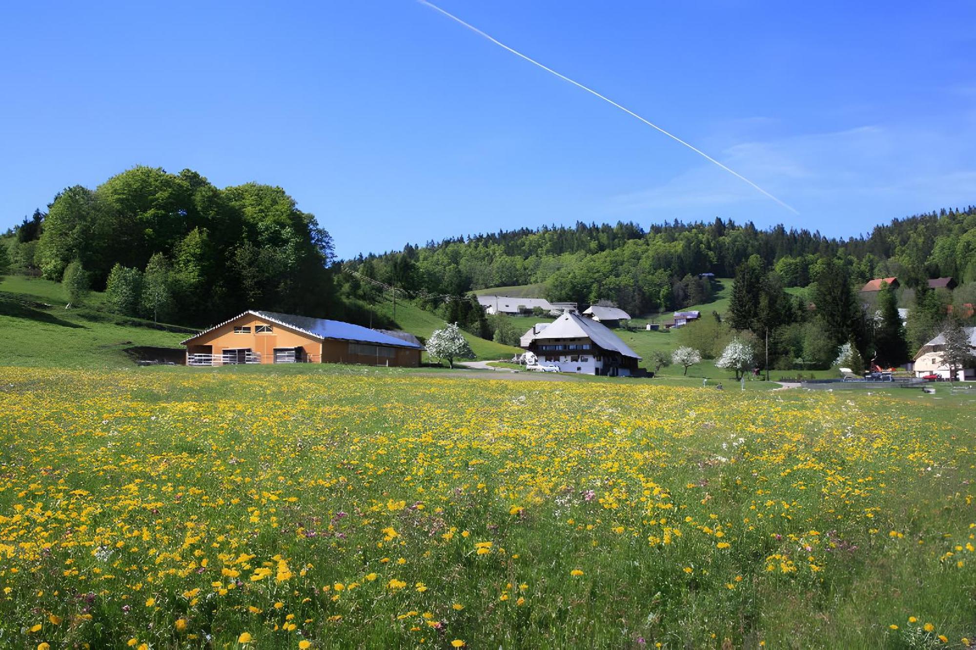 Buerschtehanse-Hof Ibach ภายนอก รูปภาพ